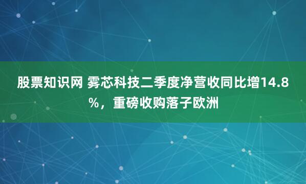 股票知识网 雾芯科技二季度净营收同比增14.8%，重磅收购落子欧洲